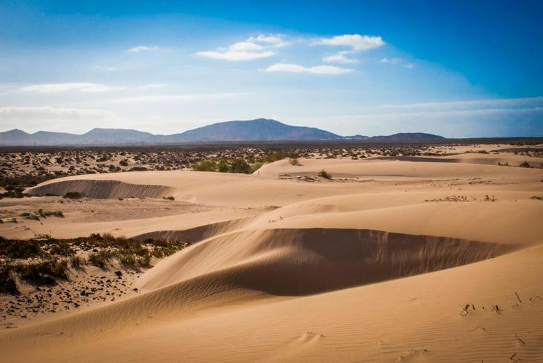 Caleta Relax - Apartamento Fuerteventura Apartment La Oliva Zewnętrze zdjęcie
